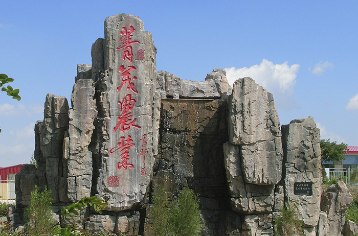 菁茂娜尔科生态循环农业产业园 假山.jpg
